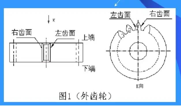 齒輪輪形圖.jpg