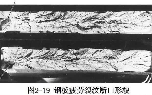 真空輥金屬疲勞斷口.jpg