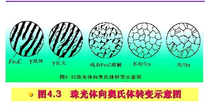 合金元素對鋼加熱轉變和回火轉變影響.jpg